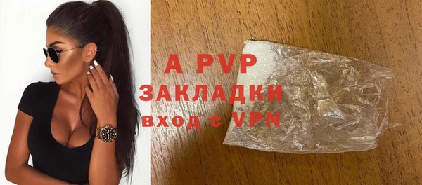стафф Алексин