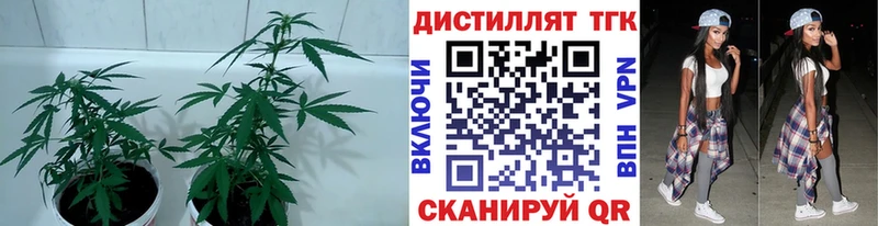 Дистиллят ТГК вейп  omg зеркало  Лесосибирск 